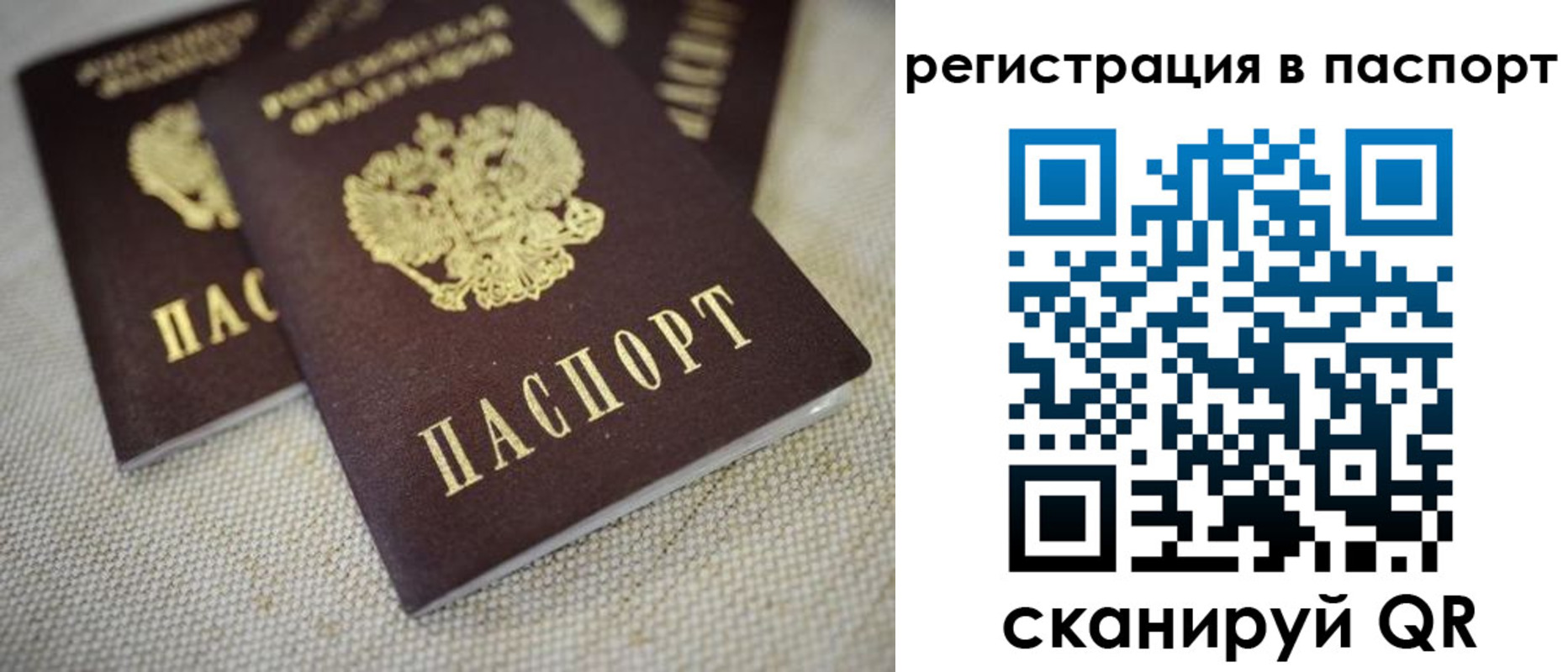 прописка гарантия в Новодвинске